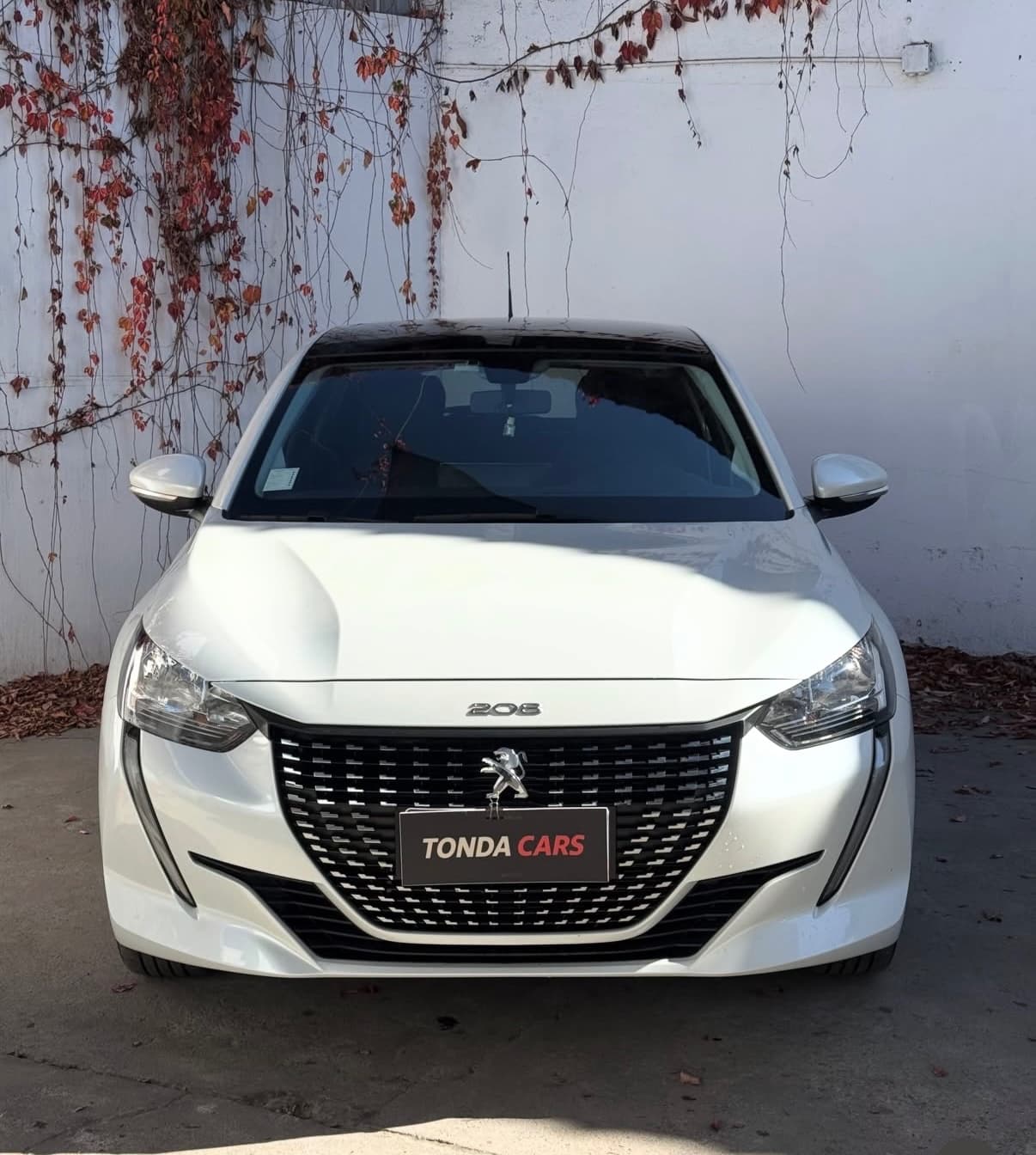 2024 Peugeot 208